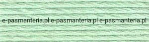 mulina DMC kol.955