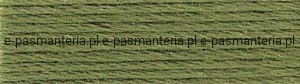 mulina DMC kol.3346