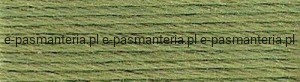 mulina DMC kol.3347