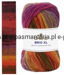 Włóczka DMC BRIO XL kol. 405