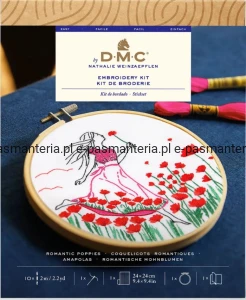 zestaw  DMC do haftowania TB249