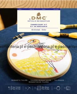 zestaw  DMC do haftowania TB248