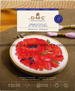 zestaw  DMC do haftowania BK1817