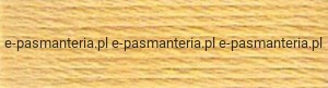 mulina DMC kol.3822