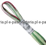mulina COLORIS DMC kol. 4520