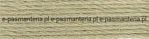 mulina DMC kol.3053