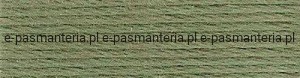mulina DMC kol.3363