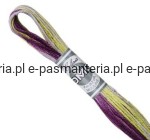 mulina COLORIS DMC kol. 4503