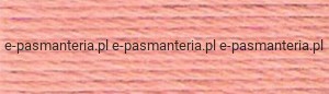 mulina DMC kol.3824
