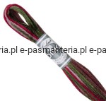 mulina COLORIS DMC kol. 4518