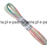 mulina COLORIS DMC kol. 4501