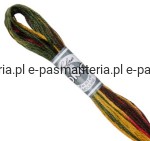 mulina COLORIS DMC kol. 4511