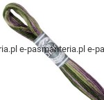 mulina COLORIS DMC kol. 4505