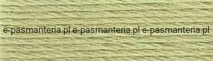 mulina DMC kol.3348