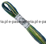 mulina COLORIS DMC kol. 4506