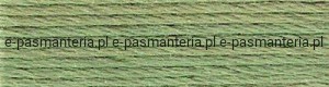 mulina DMC kol.989