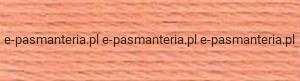 mulina DMC kol.3825