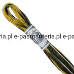 mulina COLORIS DMC kol. 4521