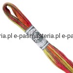 mulina COLORIS DMC kol. 4510