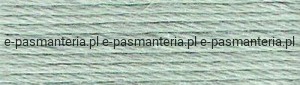 mulina DMC kol.3813